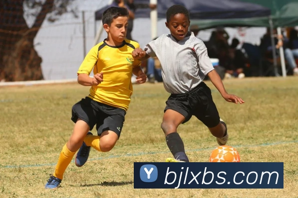 多媒体互动体验